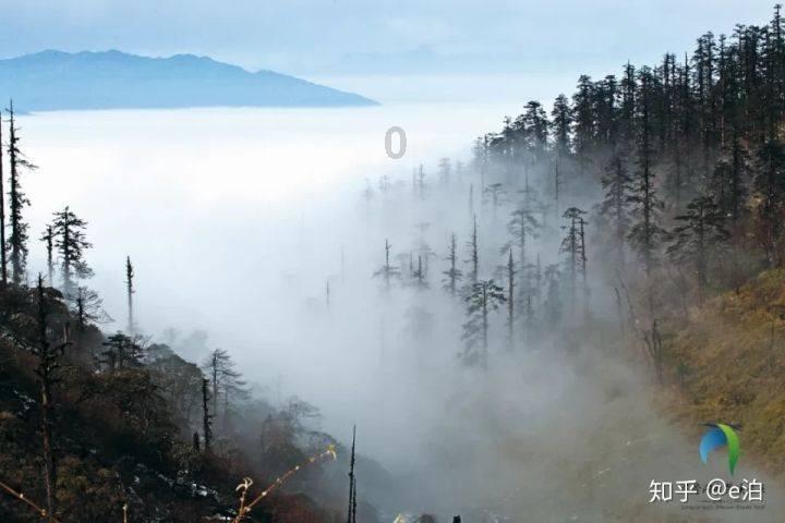 金牛女的“清冷感”是什么原因造成的?怎么样才能走进她的内心?-知识星球平台,科学有趣的知识聚合社区